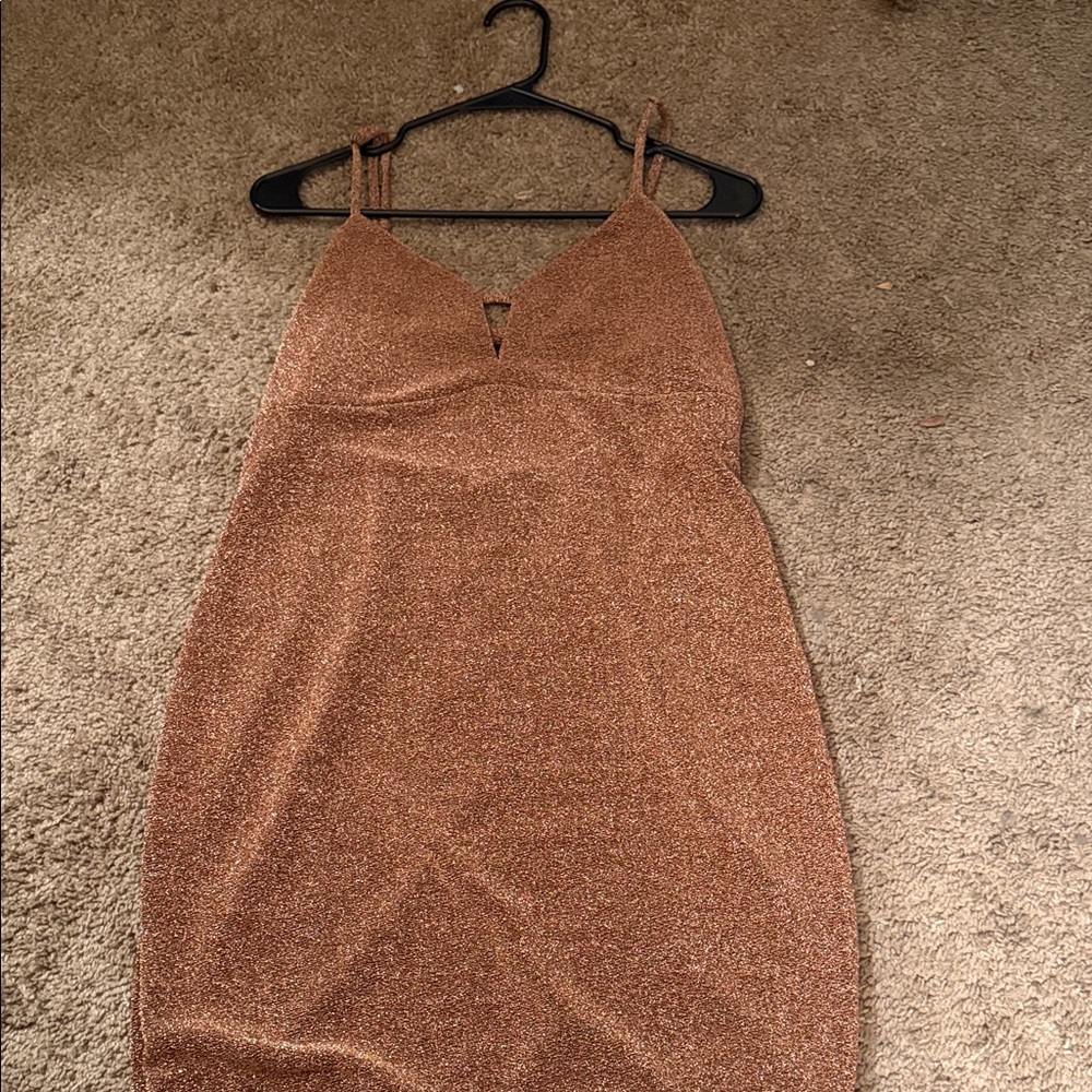 Wild Fable Shimmering Brown Mini Dress